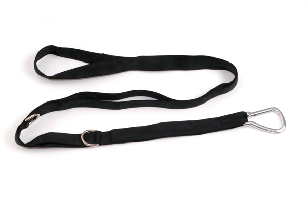 Handles and Loops | Cadillac CS - Push Through Bar&#039;s Safety Belt