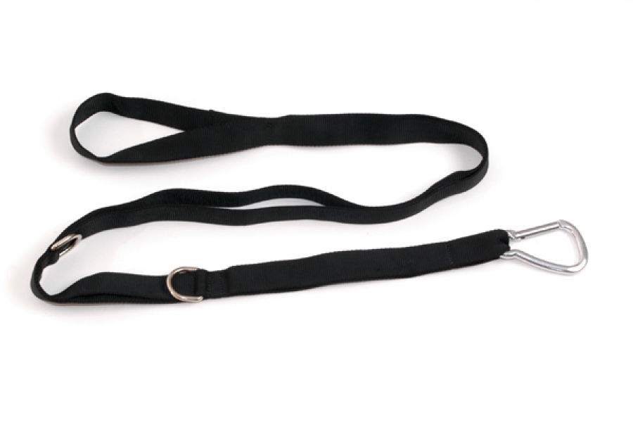 Handles and Loops | Cadillac CS - Push Through Bar&#039;s Safety Belt
